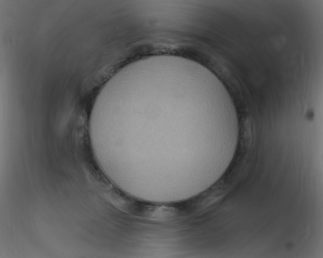 X0000116590463200912312040