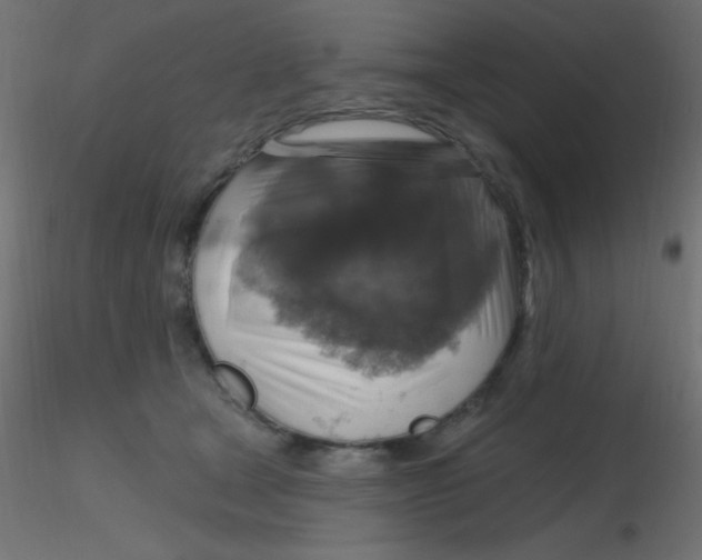 X0000116590465200912312040