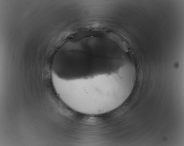 X0000116590467200912312040