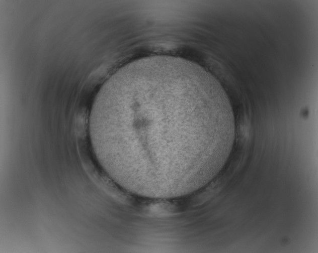 X0000116590468200912312040