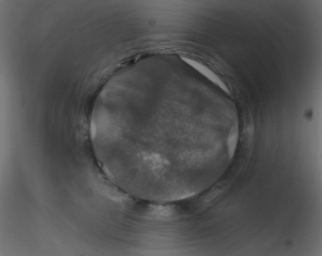 X0000116590469200912312040