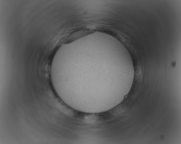 X0000116590470200912312040