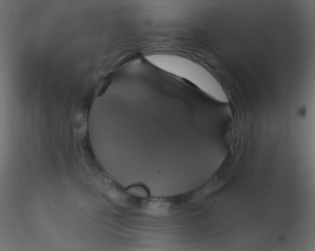 X0000116590471200912312040