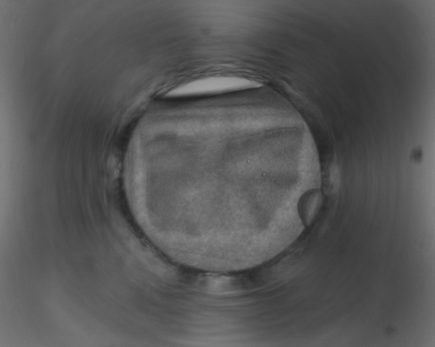 X0000116590472200912312040