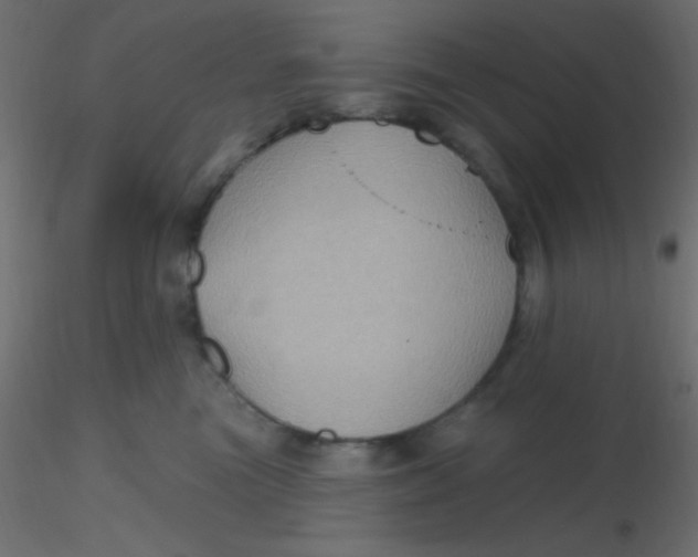 X0000116590473200912312040