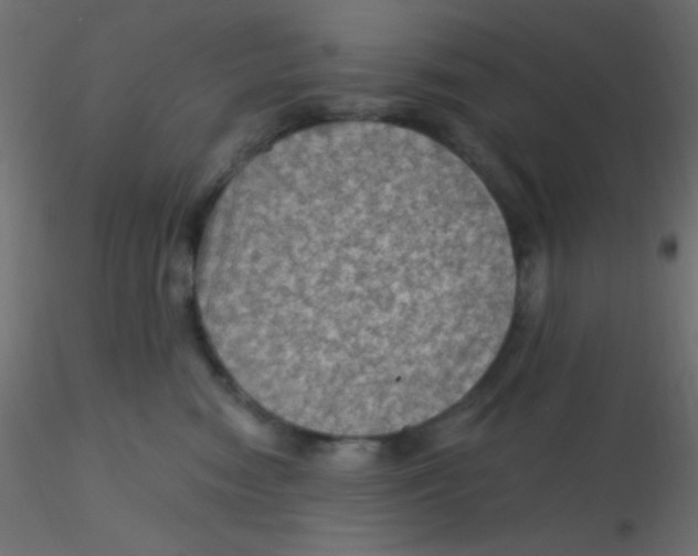 X0000116590474200912312040