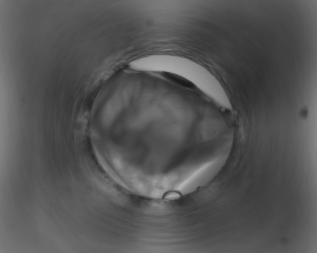 X0000116590475200912312040