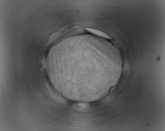 X0000116590478200912312040