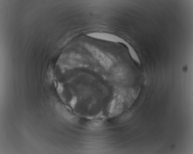 X0000116590479200912312040