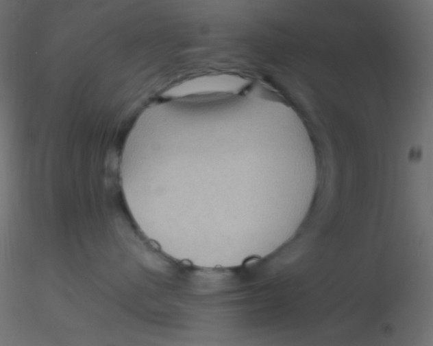 X0000116590480200912312040