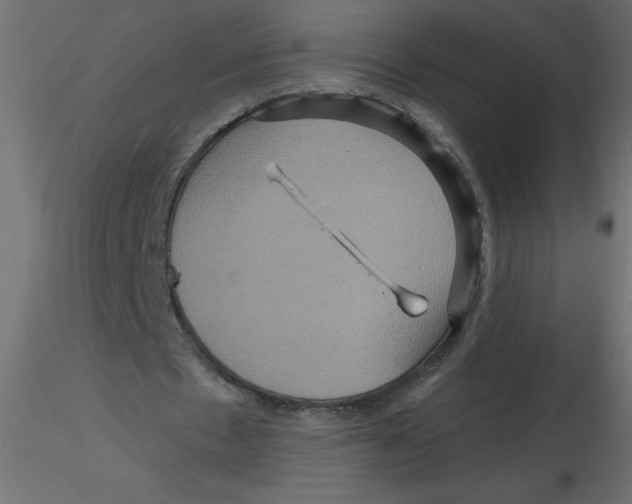 X0000116590481200912312039