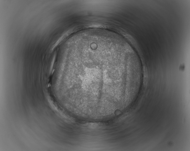 X0000116590482200912312039