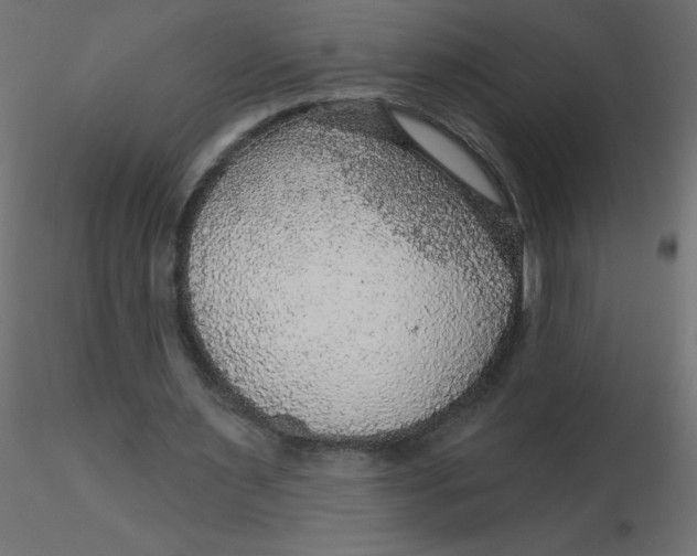 X0000116590483200912312039