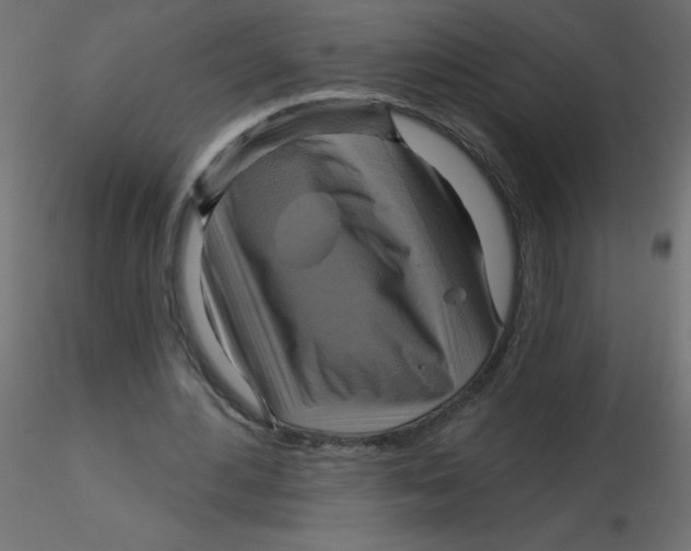 X0000116590484200912312039