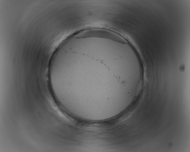 X0000116590485200912312039