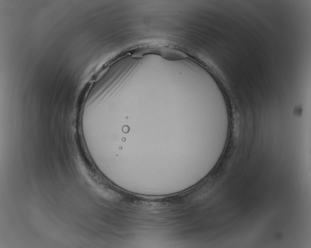 X0000116590486200912312039