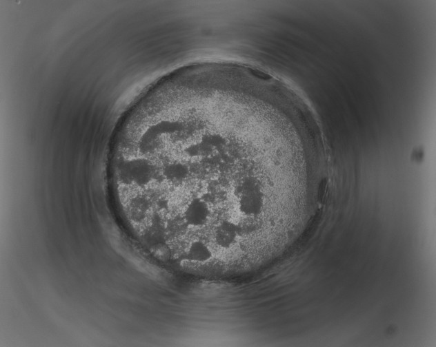 X0000116590487200912312039