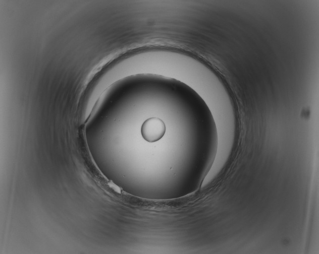 X0000116590488200912312039