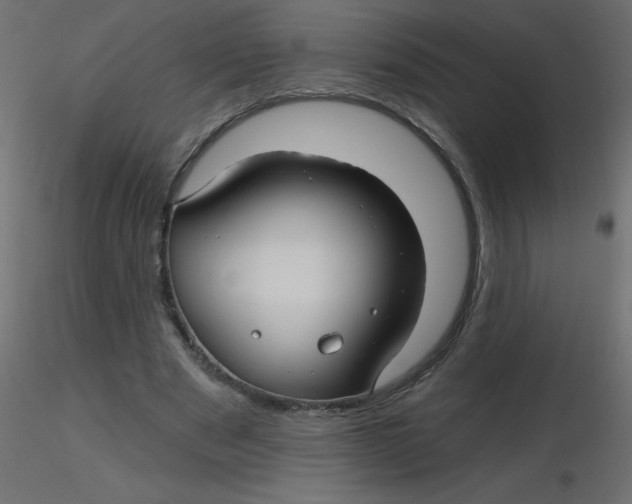 X0000116590489200912312039