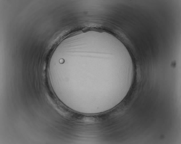 X0000116590490200912312039