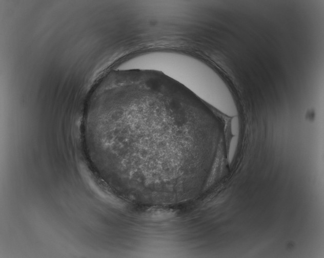 X0000116590491200912312039