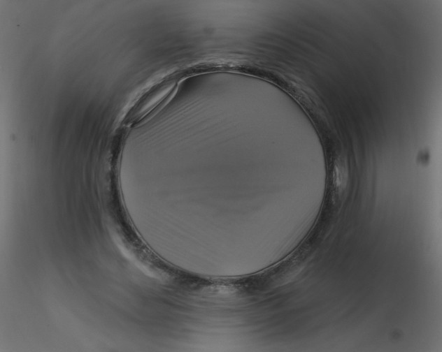 X0000116590492200912312039