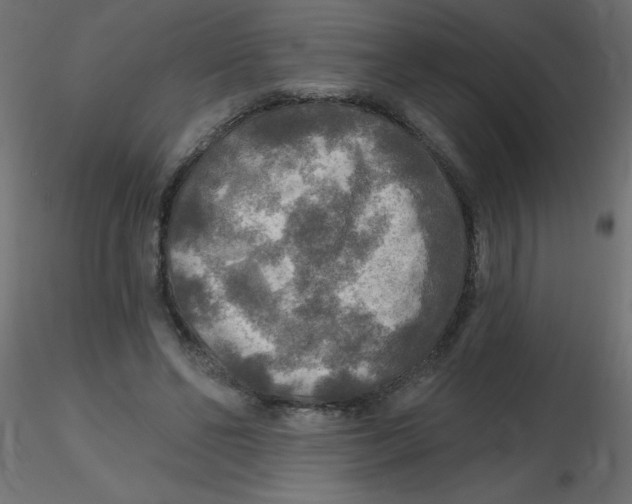 X0000116590494200912312039