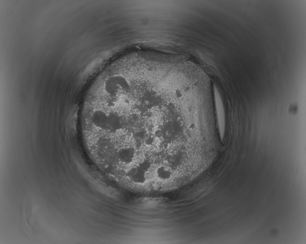 X0000116590495200912312039