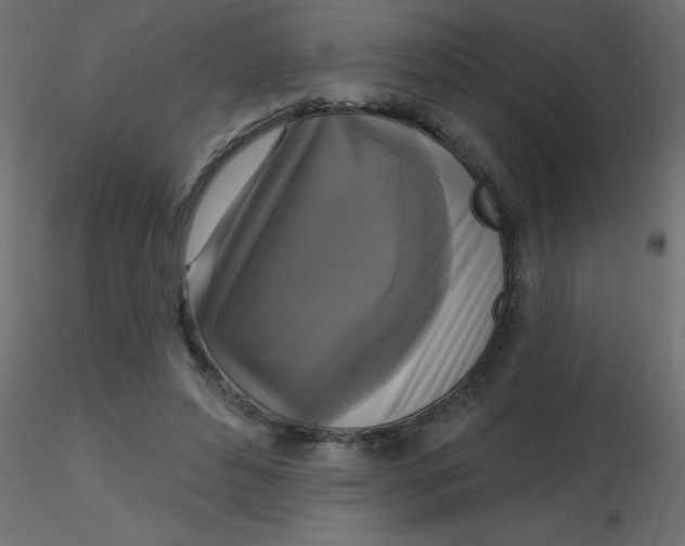 X0000116590496200912312039