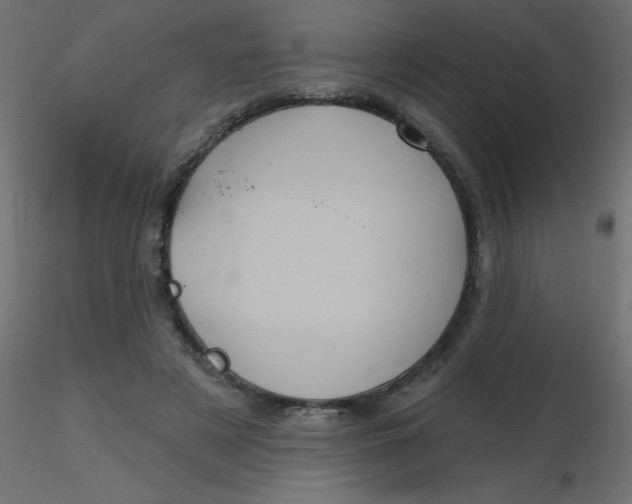 X0000116590497200912312039