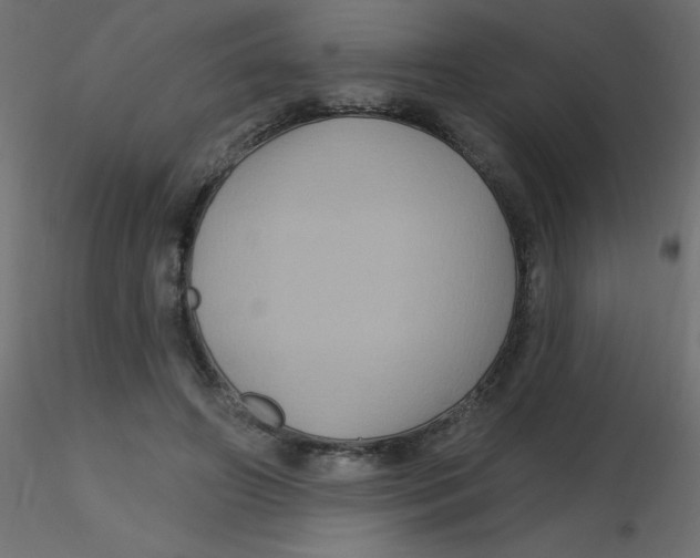 X0000116590498200912312039