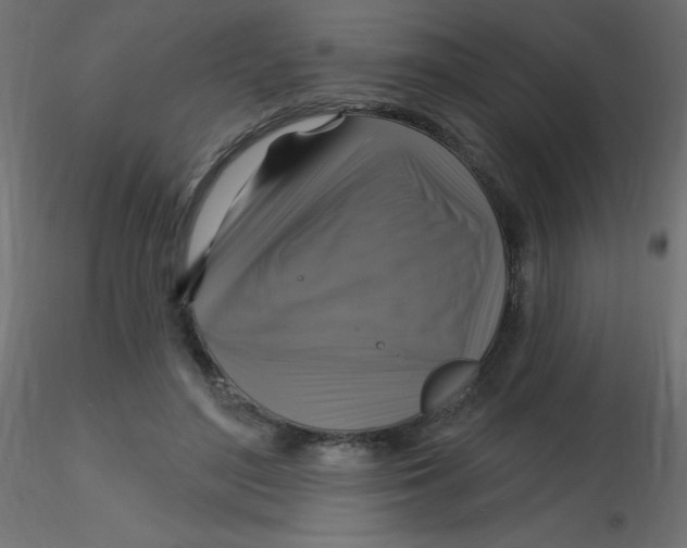 X0000116590500200912312039