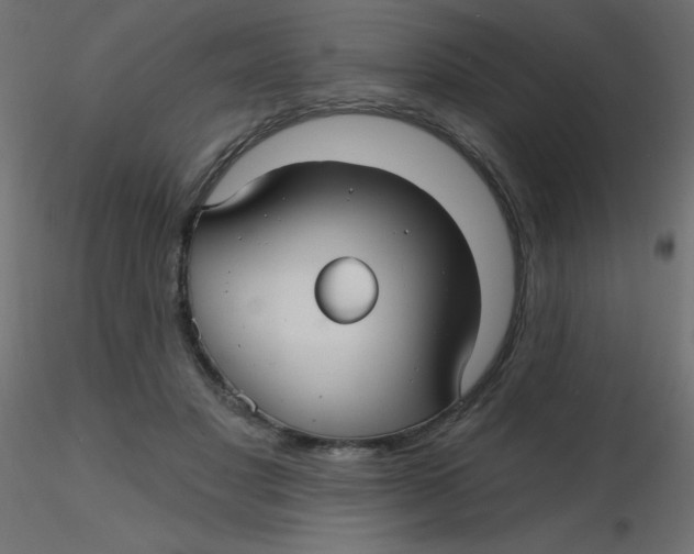 X0000116590501200912312039