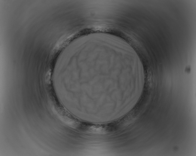 X0000116590502200912312039