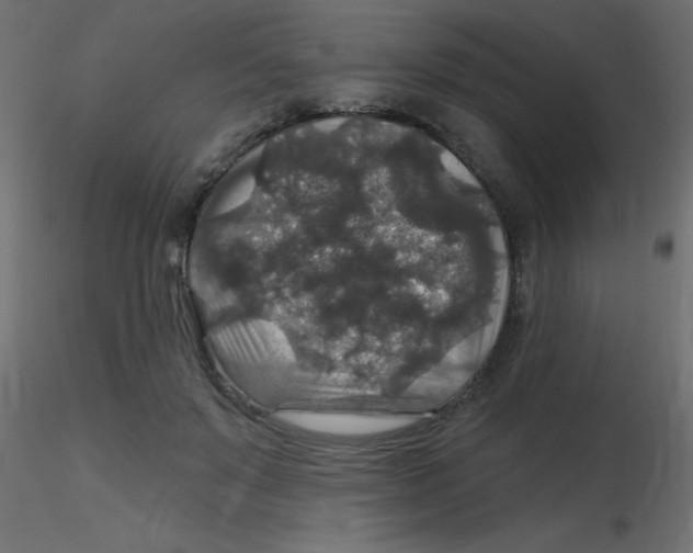 X0000116590503200912312039