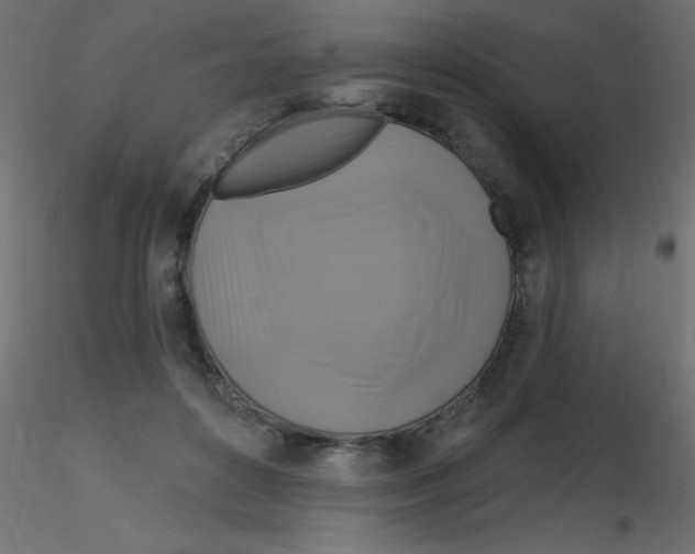 X0000116590504200912312039