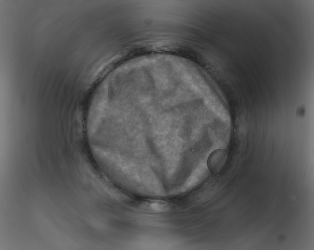 X0000116590506200912312039