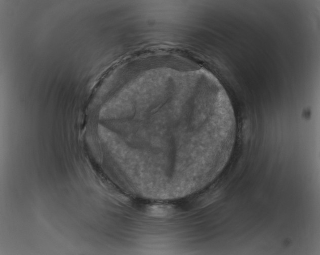 X0000116590508200912312039