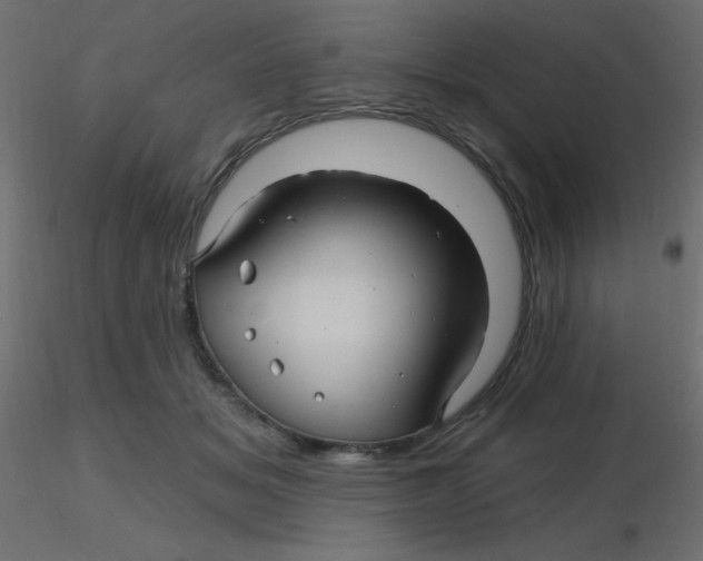 X0000116590509200912312039