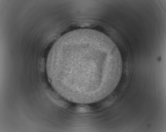 X0000116590510200912312039