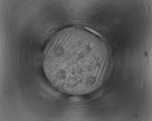 X0000116590511200912312039