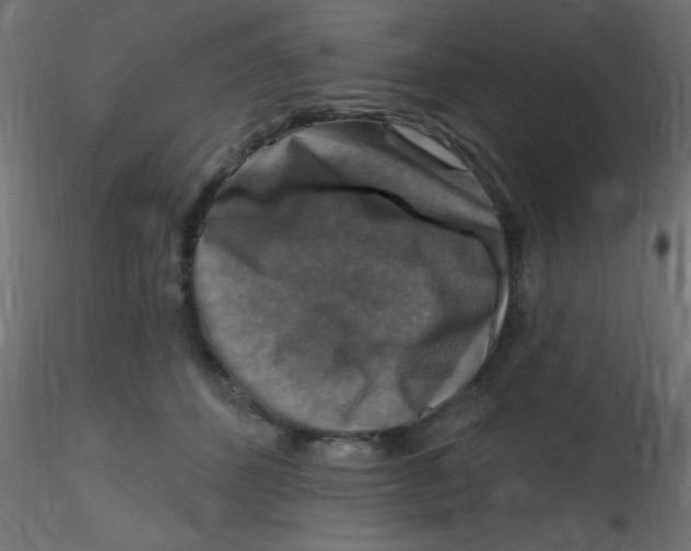 X0000116590512200912312039