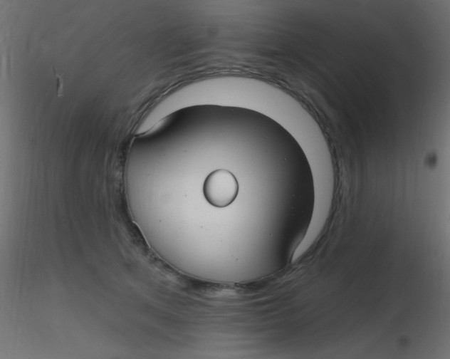 X0000116590513200912312039