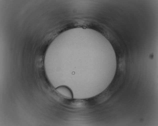 X0000116590514200912312039