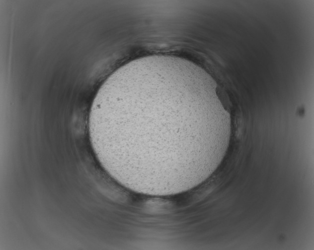 X0000116590515200912312039