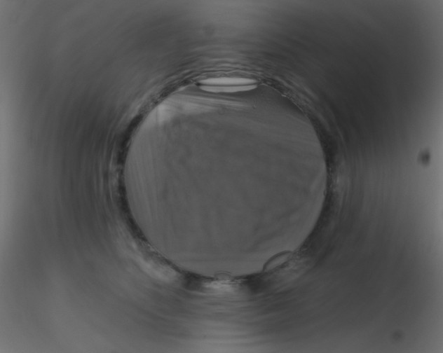 X0000116590516200912312039