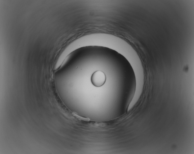 X0000116590517200912312039