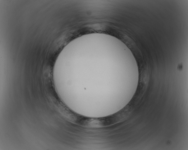 X0000116590518200912312039