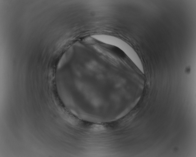 X0000116590519200912312039