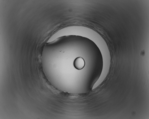 X0000116590521200912312039